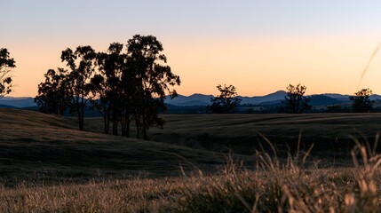 Naklejka premium Serene golden hour landscape peaceful grassland sunset mountains evoke warmth tranquility nature photography