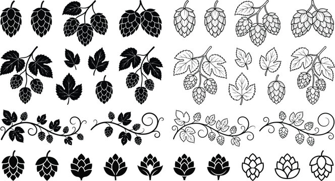 Hop Cones Leaves Vines Botanical Silhouette Collection Black Vector Design Set