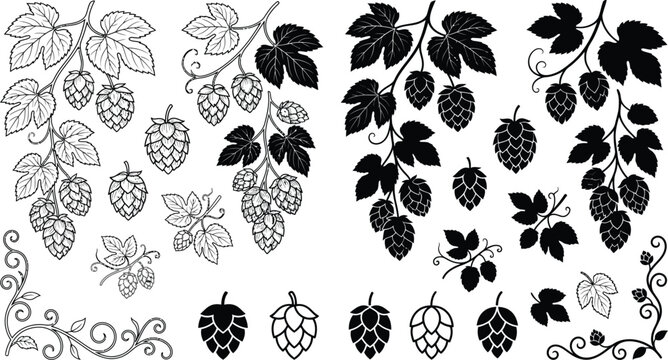 Hop Vine Leaves Cones Botanical Silhouette Collection Black Vector Design Set