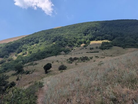 Inquadratura dal basso di un grande pendio montano caratterizzato da pascoli d'alta quota che sfumano in un fitto bosco frondoso.