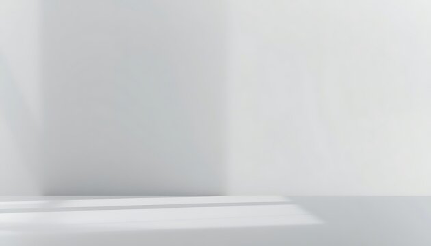 Modern light gray studio background with soft gradient. Clean seamless backdrop for product photography and professional presentations.