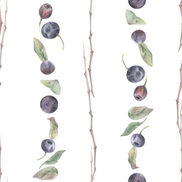 Wild huckleberry, blueberry berries, forest bilberry shrub leaves, branches seamless stripes hand drawn in watercolor. Kitchen textile patterns, botanical planners, gift wrap and artisan products.