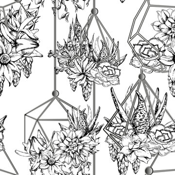 Faceted geometric wire holders with mixed succulent plant, vine arrangements, hanging terrarium mini gardens. Seamless pattern hand drawn in vector ink. Spa leaflets, product wraps, boutique branding.