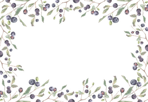 Huckleberry, bilberry shrub branches with berries and foliage, forest growth, ripe blueberry bush. Watercolor hand drawn rectangular frame with copy space. Regional tourism plant and foraging guides