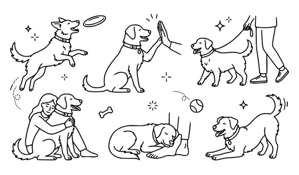 Happy Dog Activities Collection with Playing Training Sleeping Walking and Pet Care Line Illustrations