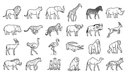 Safari wildlife outline icon collection with lion elephant zebra giraffe tiger monkey crocodile and wild animals © Boloram