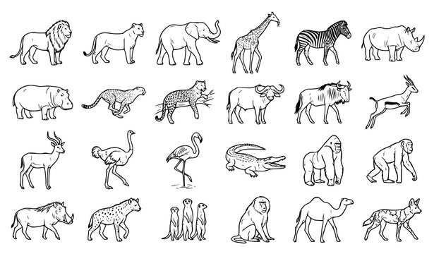 Safari wildlife outline icon collection with lion elephant zebra giraffe tiger monkey crocodile and wild animals