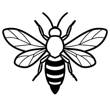 bee on flower