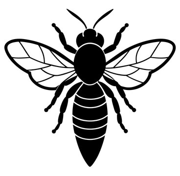 bee vector illustration
