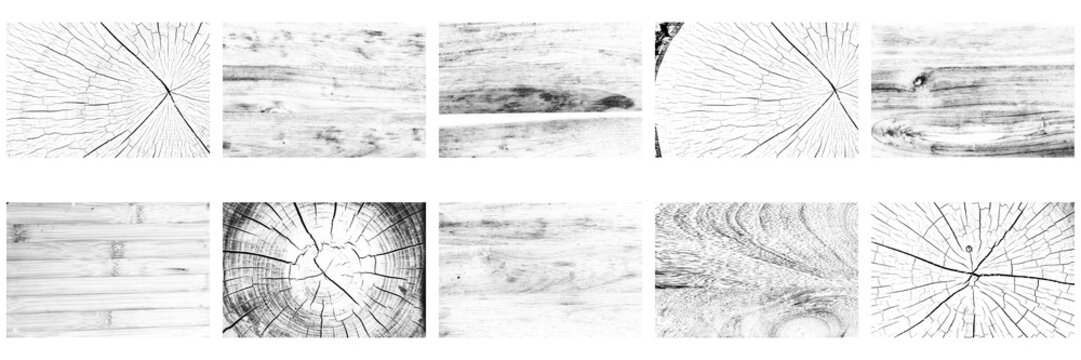 Transparent wooden boards, wood grain, tree rings, cracked timber and rustic plank textures set and collection for PNG overlay background design.