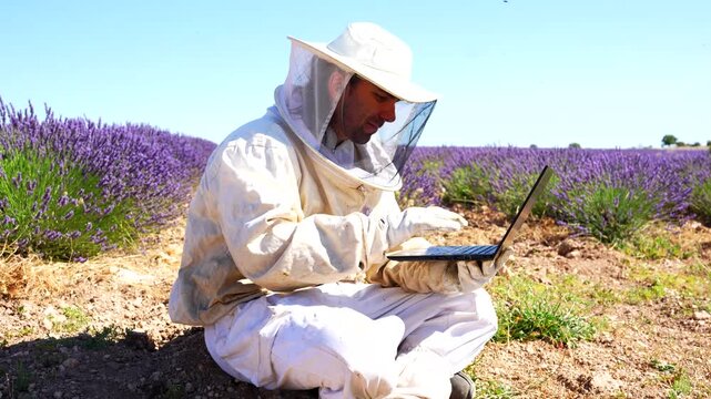 Smart apiculture with a beekeeper analyzing data on a computer surrounded by lavender flowers