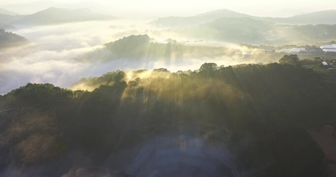 Breathtaking sunrise over mist-covered mountains, where golden sun rays stream through layers of fog and illuminate rolling green hills.