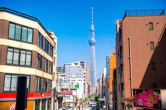 東京都墨田区 錦糸町のタワービュー通りから見る、青空にそびえ立つ東京スカイツリーの風景