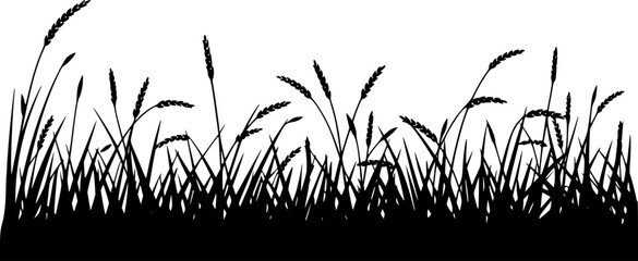 プロジェクトのために清潔な白背景に孤立した、野生の草と小麦の茎の黒いシルエット © Anjuman_42