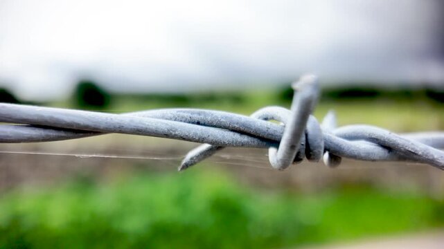 Detailed close-up of a rustic barbed wire fence, featuring sharp points with a softly blurred green field background.