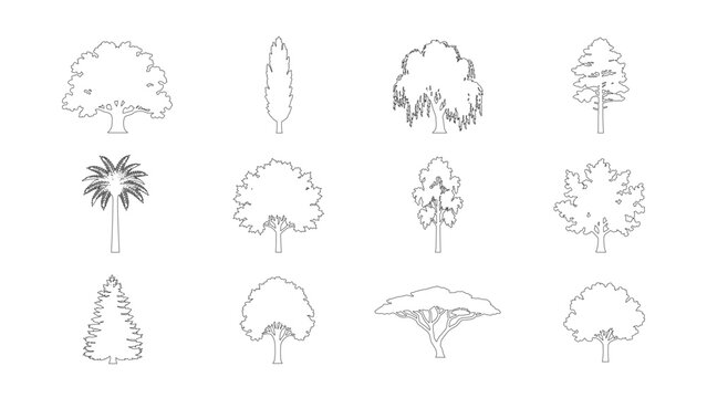 CAD Drawings. Set of tree silhouettes isolated on white and transparent background. Architectural elevation oak, poplar, willow, pine, palm, maple, birch, ginkgo, spruce, elm, acacia, and cherry bloss