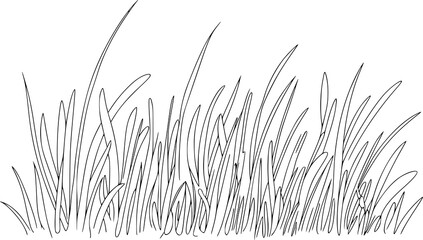 無地の白背景に孤立した野生の草の茂みのシンプルな白黒の線画 © Anjuman_42