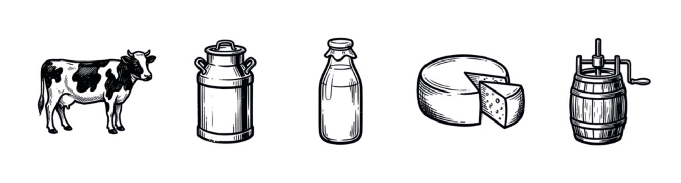 Black and white hand-drawn illustration features a cow, milk can, bottle, cheese, and butter churn on a clean white background