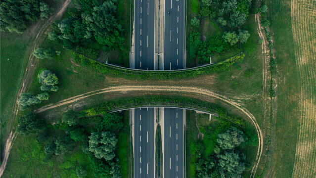 Aerial view of a wildlife overpass crossing a motorway near a lake