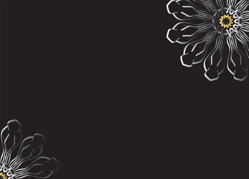 Monochrome Abstract Flower Petals with Black Background