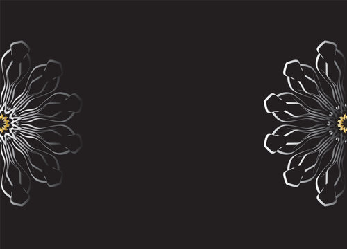 Monochrome Abstract Flower Petals with Black Background