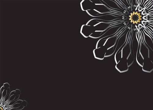 Monochrome Abstract Flower Petals with Black Background