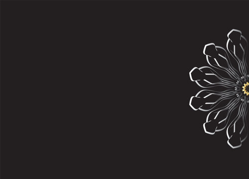 Monochrome Abstract Flower Petals with Black Background