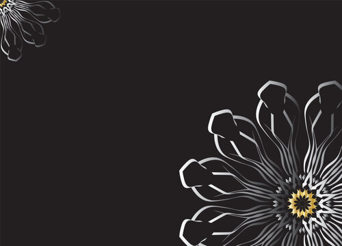 Monochrome Abstract Flower Petals with Black Background