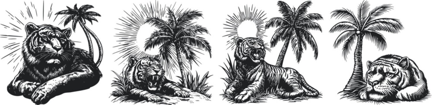 Hand-drawn black and white illustration featuring four reclining tigers set among palm trees and tropical jungle foliage, capturing wildlife and nature themes.