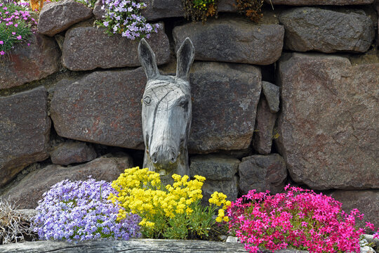 Handcrafted wooden sculpture depicting a donkey's head iVal di Funes, Italy