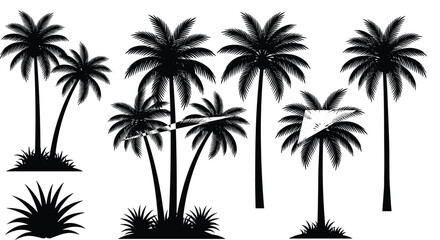 Fototapeta premium Tropical Palm Tree Silhouette Vector Icon Set with Exotic Coconut Palms and Summer Beach Plants for Holiday Travel Designs