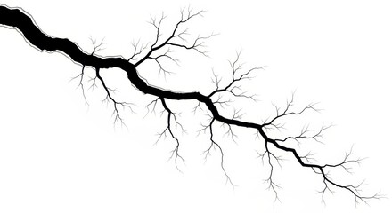 Fototapeta premium Black Silhouette of a Bare Tree Branch with Twigs Isolated on White Background for Minimalist Nature Design
