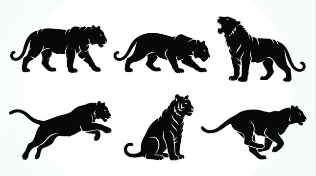 Six tiger poses silhouettes. Black tiger icons set.
