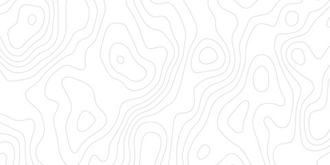  Creative White Paper Layer Background with Smooth Topographic Contour Lines and Elegant Relief Surface Pattern  © ALAMA