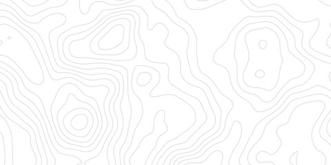  Luxury White Paper Cut Landscape Background Featuring Abstract Contour Lines and Smooth Wavy Relief Texture  © ALAMA