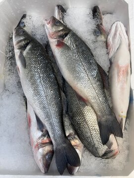 Fresh fish on ice in seafood market display, ideal for culinary backgrounds or food industry concepts
