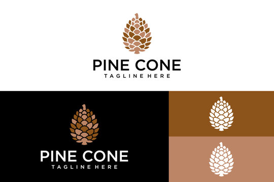Abstract Pine Cone Logo Identity Concept