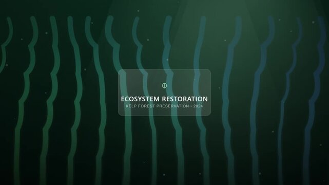 Abstract Kelp Forest Underwater Motion Graphics for Ecosystem Restoration