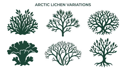 Arctic lichen diversity © Darwaty