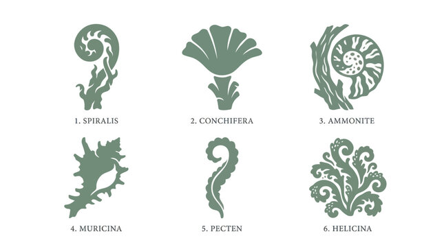 Ancient fossil icons set
