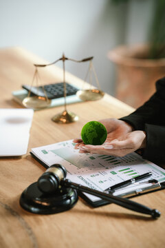 Judge's gavel above a green globe symbolizing environmental law, ESG compliance, climate justice, and sustainable governance.