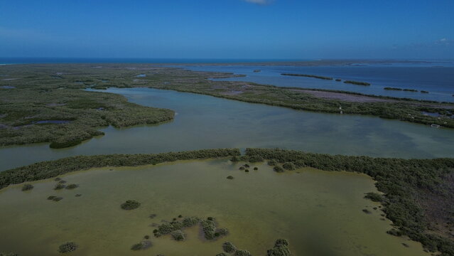 Cinematic aerial view of the lush green mangroves, emerald lagoons and wild wetlands of Holbox Island, Mexico