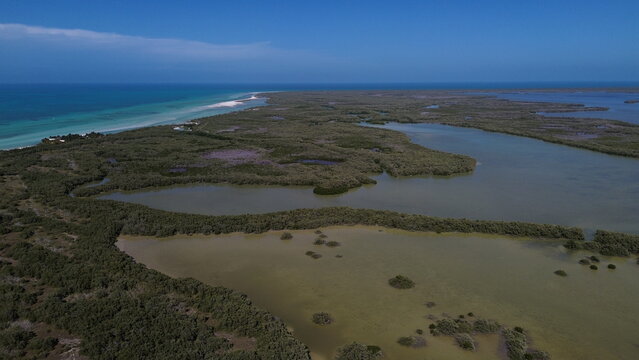 Cinematic aerial view of the lush green mangroves, emerald lagoons and wild wetlands of Holbox Island, Mexico