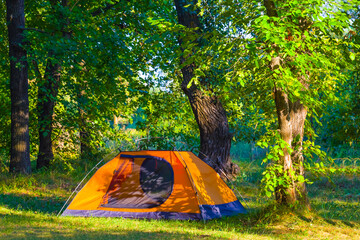 orange touristic tent stay on forest glade in light of sun, summer outdoor camping scene © Yuriy Kulik