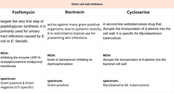 other cell wall inhibitors (Fosfomycin, bacitracin, cycloserine) 