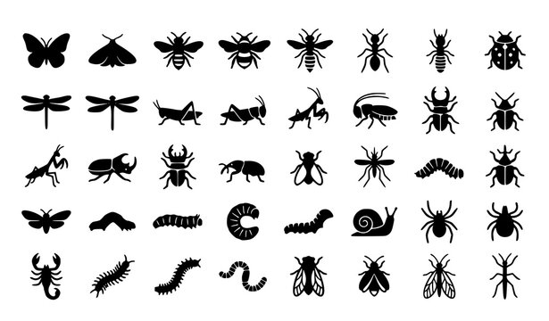 Modern insect silhouette icon collection with bugs larvae beetles butterflies spiders and educational nature symbols isolated on white background