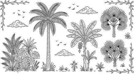 Tropical palm tree vector collection with engraved banana trees plants clouds and birds in a hand drawn vintage linocut style element set © MDHELAL