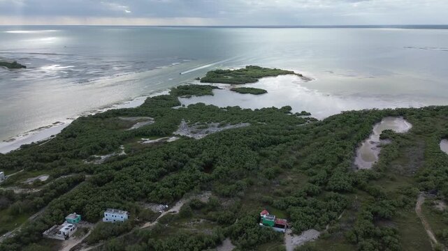 Cinematic aerial view of the stunning contrast between turquoise ocean beaches and lush green mangroves, Holbox Island, Mexico