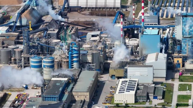 Industrial wood processing factory producing paper and pollution
