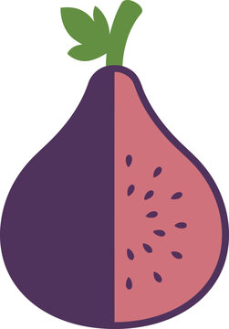 Stylized fig fruit icon with half slice showing seeds isolated on white background